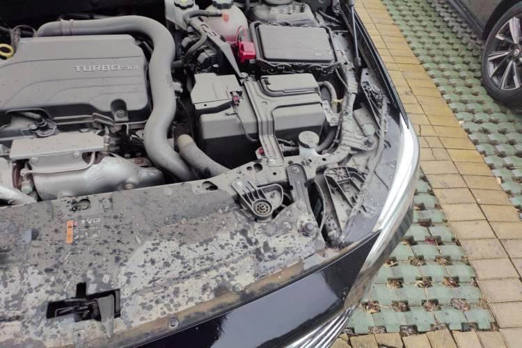 Used Buick Regal 2024 25T Deluxe Edition Engine Bay Left
