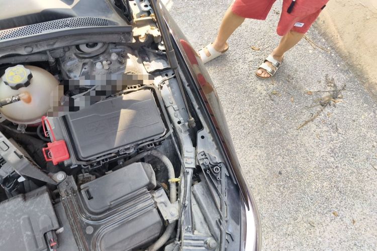 Used Buick Regal 2024 25T Deluxe Edition Engine Bay Left