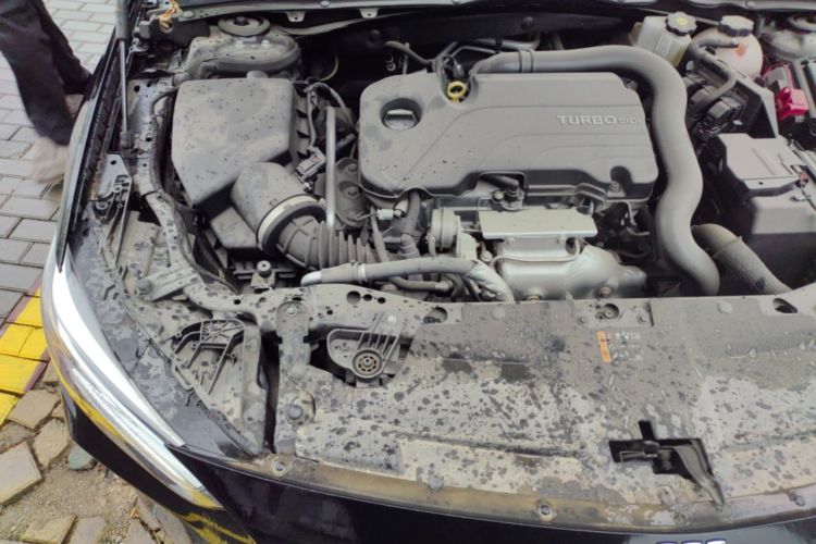 Used Buick Regal 2024 25T Deluxe Edition Engine Bay Right