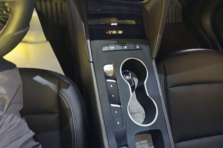 Used Buick Regal 2024 25T Deluxe Edition Gear Lever