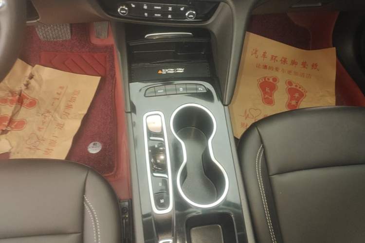 Used Buick Regal 2024 25T Deluxe Edition Gear Lever