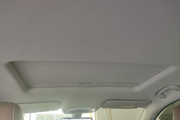 Used Buick Regal 2024 28T Luxury Edition Headliner