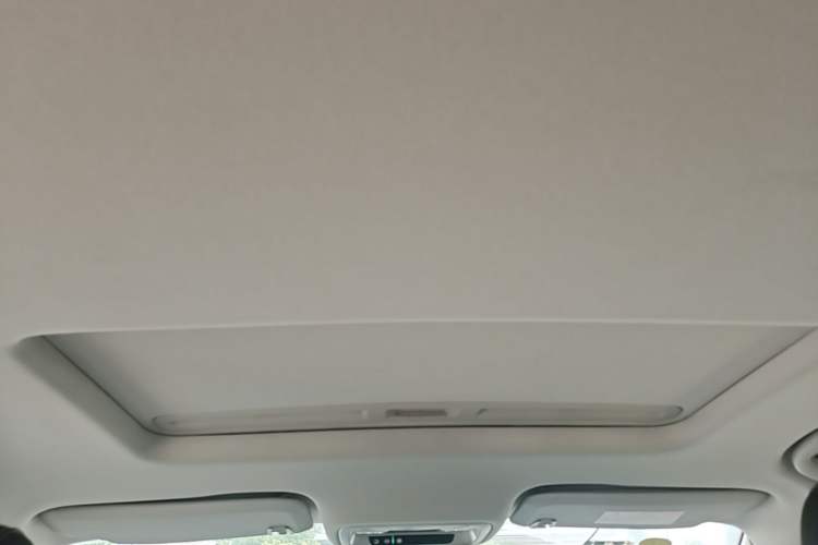 Used Buick Regal 2024 25T Deluxe Edition Headliner