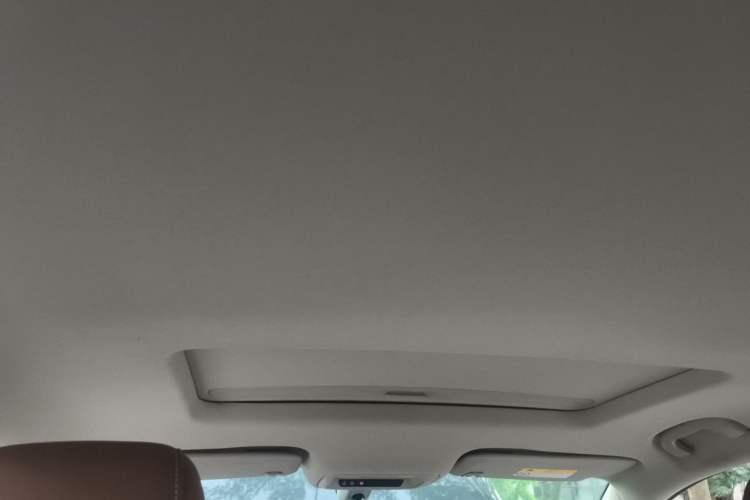 Used Buick Regal 2024 28T Luxury Edition Headliner