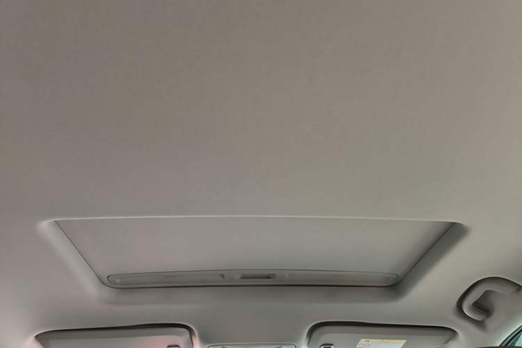 Used Buick Regal 2024 28T Luxury Edition Headliner