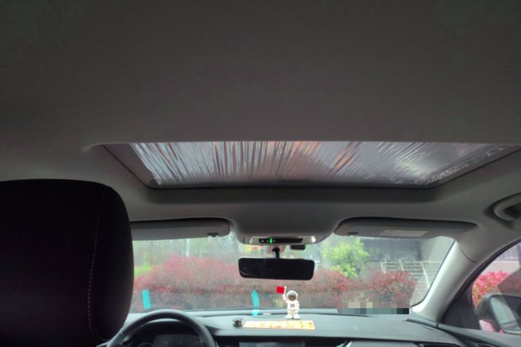 Used Buick Regal 2024 25T Deluxe Edition Headliner