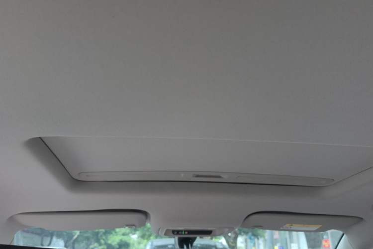 Used Buick Regal 2024 28T Luxury Edition Headliner