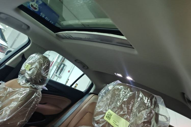 Used Buick Regal 2024 28T Luxury Edition Headliner