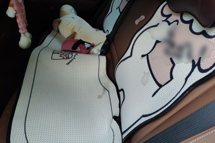 Used Buick Regal 2024 28T Luxury Edition Left Rear Seat