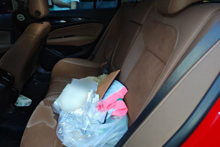 Used Buick Regal 2024 28T Luxury Edition Left Rear Seat