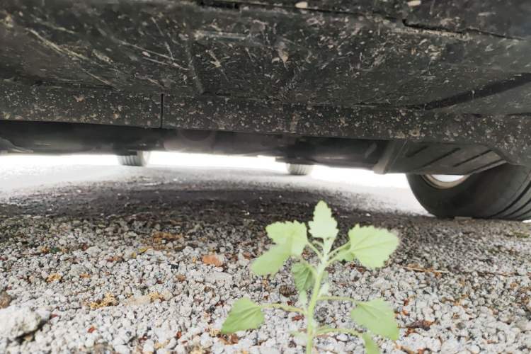 Used Buick Regal 2024 25T Deluxe Edition Chassis Front