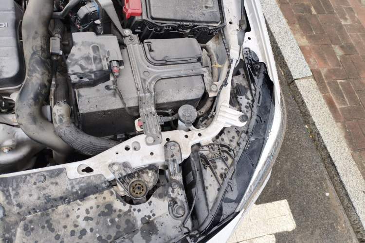Used Buick Regal 2024 25T Deluxe Edition Engine Bay Left