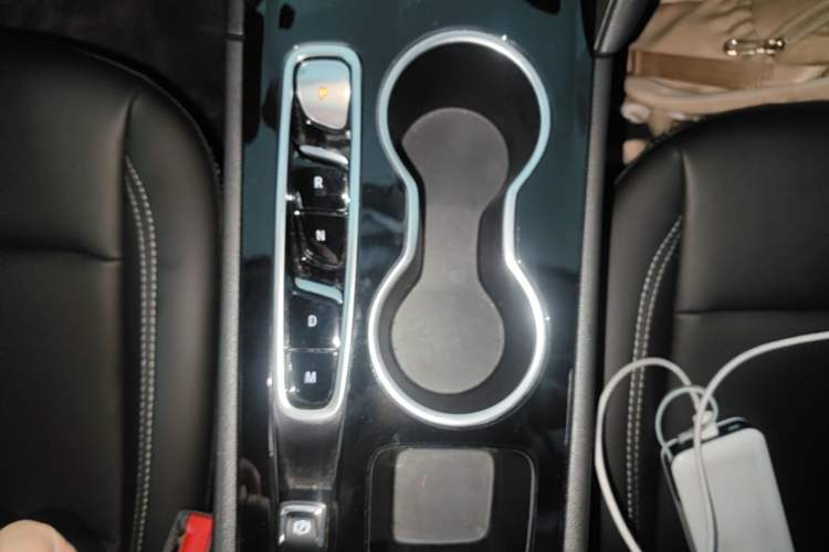 Used Buick Regal 2024 25T Deluxe Edition Gear Lever