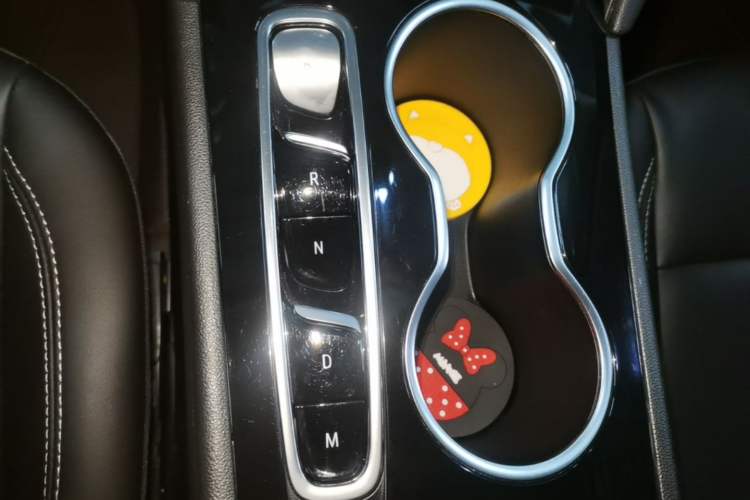 Used Buick Regal 2024 25T Deluxe Edition Gear Lever