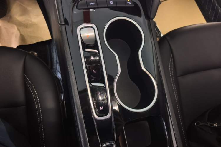 Used Buick Regal 2024 25T Deluxe Edition Gear Lever