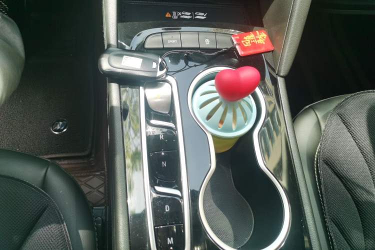 Used Buick Regal 2024 25T Deluxe Edition Gear Lever
