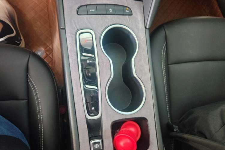 Used Buick Regal 2024 25T Deluxe Edition Gear Lever