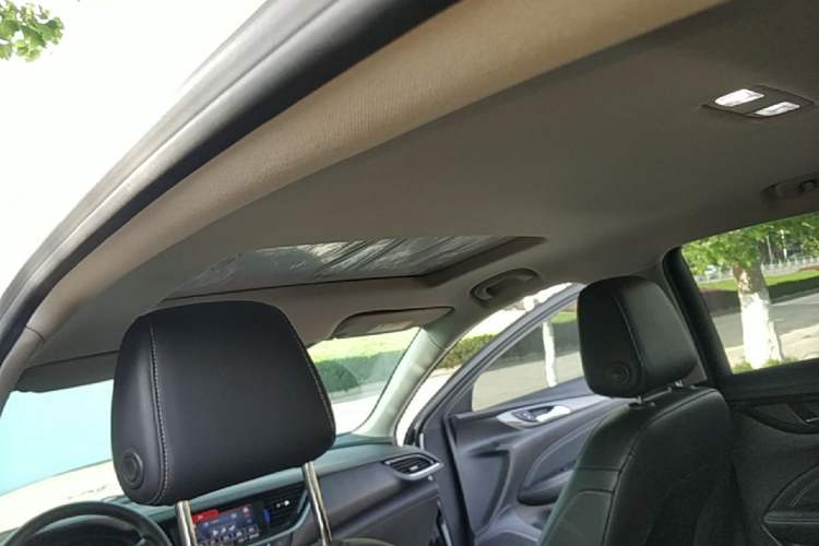Used Buick Regal 2024 25T Deluxe Edition Headliner