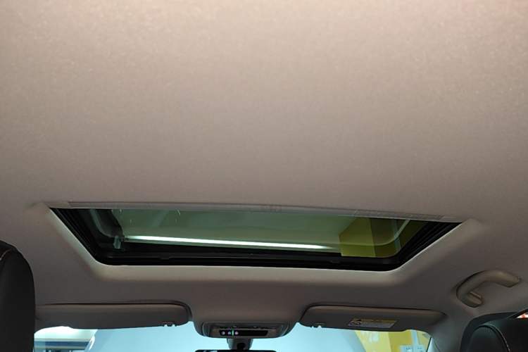 Used Buick Regal 2024 28T Luxury Edition Headliner