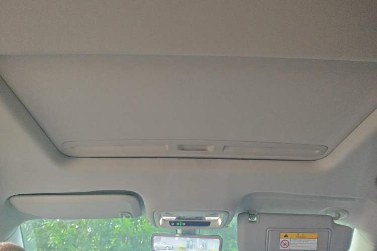 Used Buick Regal 2024 25T Deluxe Edition Headliner