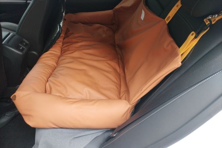 Used Buick Regal 2024 Revised 25T Ultra-Comfort Edition Left Rear Seat