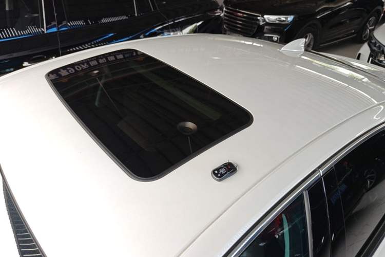 Used Buick Regal 2024 28T Luxury Edition Roof
