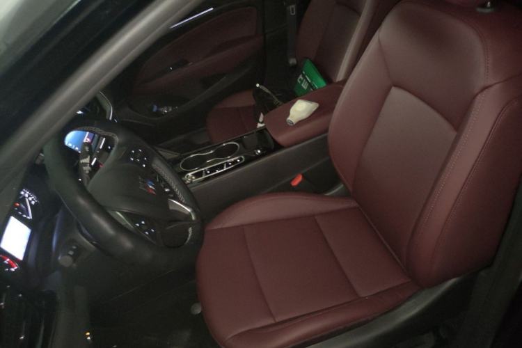 Used Buick Regal 2025 Model 25T Ultra-Enjoyment Edition Left Front Seat