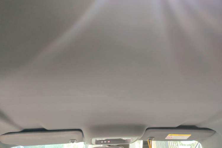 Used Buick VELITE 5 2017 Stylish Extended-Range Model Headliner