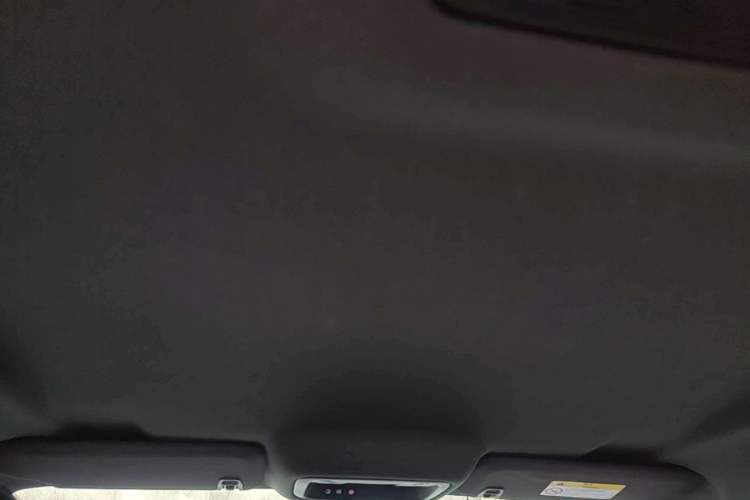 Used Buick VELITE 5 2017 Urban Extended-Range Model Headliner
