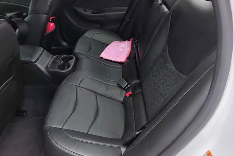 Used Buick VELITE 5 2017 Urban Extended-Range Model Left Rear Seat