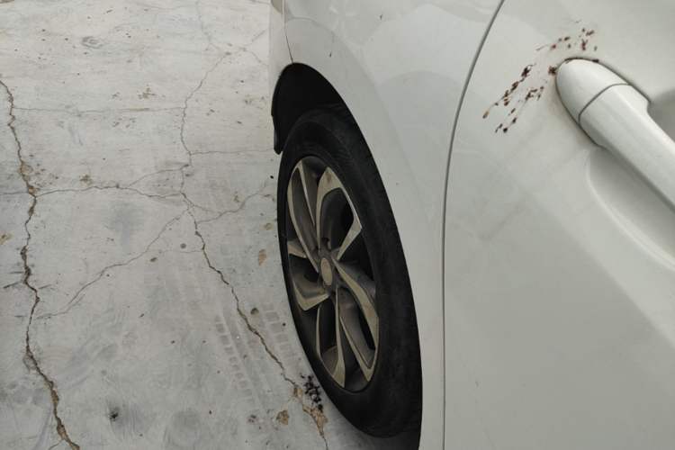 Used Buick Velite 6 2019 Connected & Smart Edition Right Rear Wheel Hub