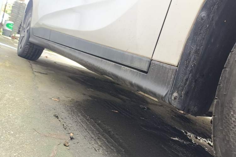 Used Buick Velite 6 2019 Connected & Smart Edition Right Side Sill