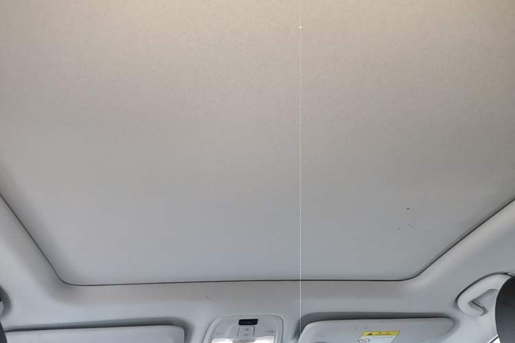 Used Buick Velite 6 2020 Plug-in Hybrid Connected Smart Model Headliner