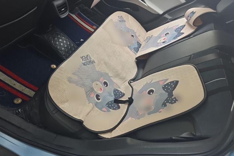 Used Buick Velite 6 2020 Plug-in Hybrid Connected Smart Model Left Rear Seat