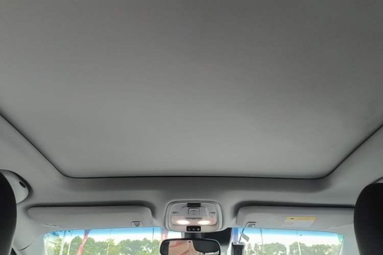 Used Buick Velite 6 2020 Plug-in Hybrid Connected Smart Model Headliner