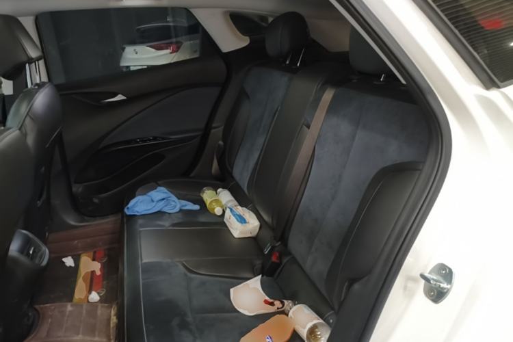 Used Buick Velite 6 2020 Plug-in Hybrid Connected Smart Edition Left Rear Seat