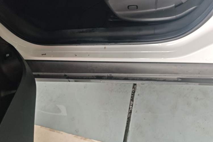 Used Buick Velite 6 2020 Plug-in Hybrid Connected Smart Edition Left Side Sill