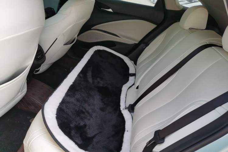 Used Buick Velite 6 2022 Plug-in Hybrid Connected Fashion Model Left Rear Seat