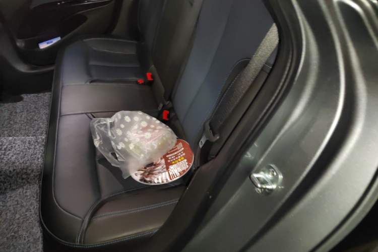 Used Buick Velite 6 2022 Plug-in Hybrid Connected Smart Edition Left Rear Seat