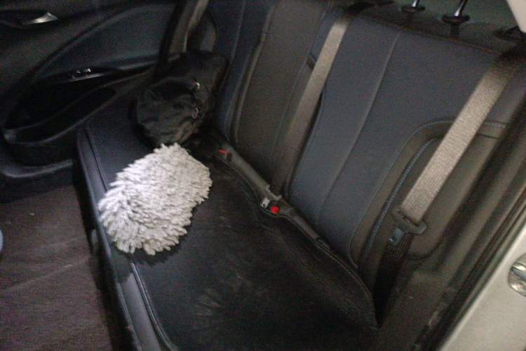 Used Buick Velite 6 2024 430km Enjoyment Version Left Rear Seat