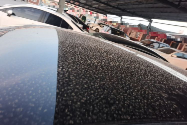 Used Buick Velite 6 2024 430km Enjoyment Version Roof
