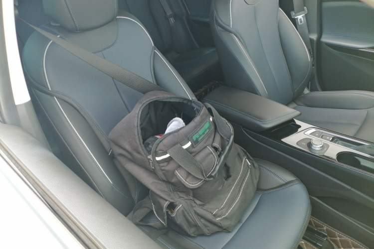 Used Buick Velite 6 2024 430km Enjoyment Version Right Front Seat