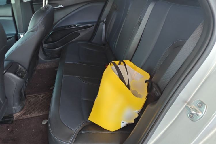 Used Buick Velite 6 2024 430km Comfort Edition Left Rear Seat