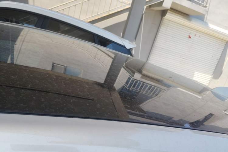 Used Buick Velite 6 2024 430km Enjoyment Version Roof