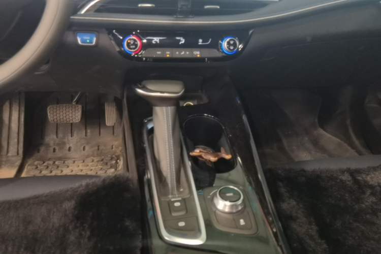 Used Buick Velite 6 2024 430km Enjoyment Version Gear Lever