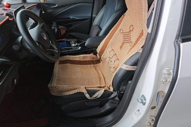 Used Buick Velite 6 2024 430km Enjoyment Version Left Front Seat