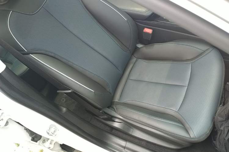Used Buick Velite 6 2024 430km Enjoyment Version Right Front Seat