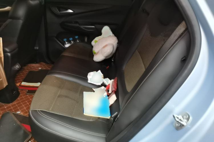 Used Buick Velite 7 2020 652E Connected Smart Car Left Rear Seat