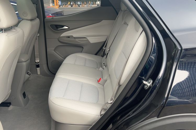 Used Buick Velite 7 2020 652E Connected Smart Edition Left Rear Seat