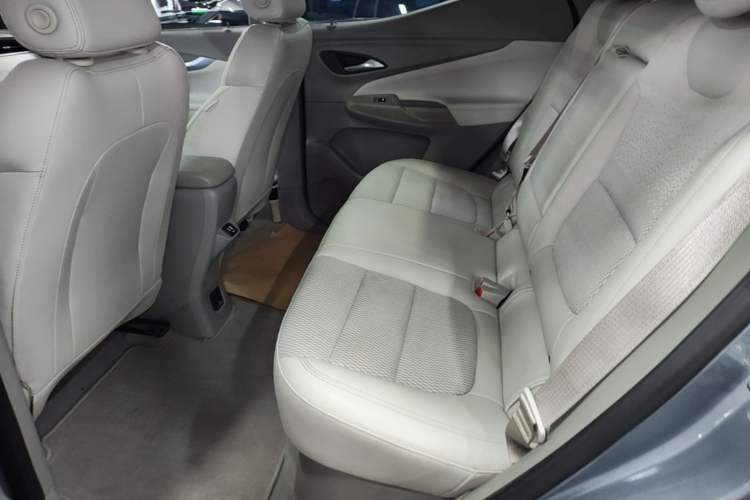 Used Buick Velite 7 2020 652E Connected Smart Edition Left Rear Seat